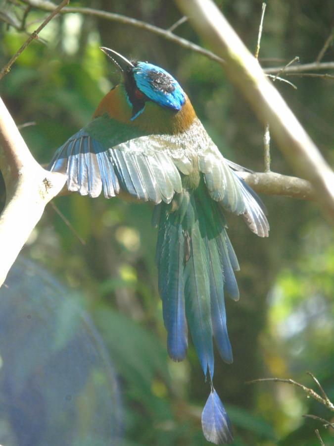 Montana Verde Rivas Luaran gambar