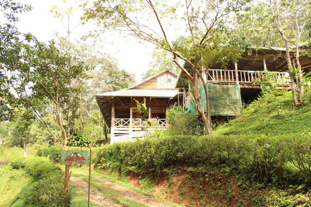 Montana Verde Rivas Luaran gambar