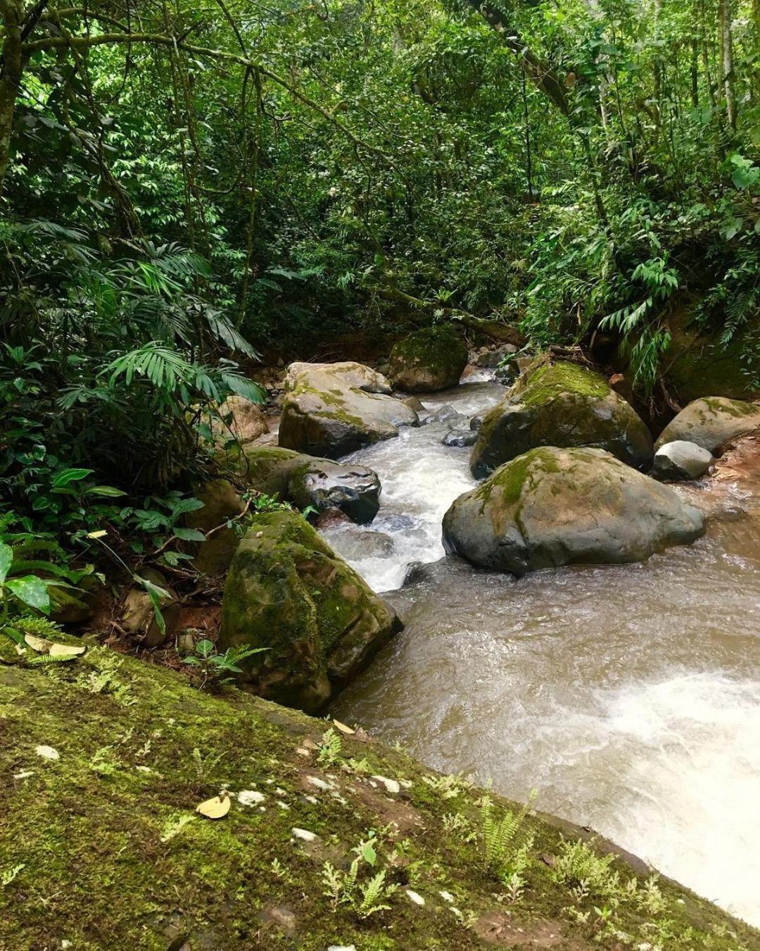 Montana Verde Rivas Luaran gambar