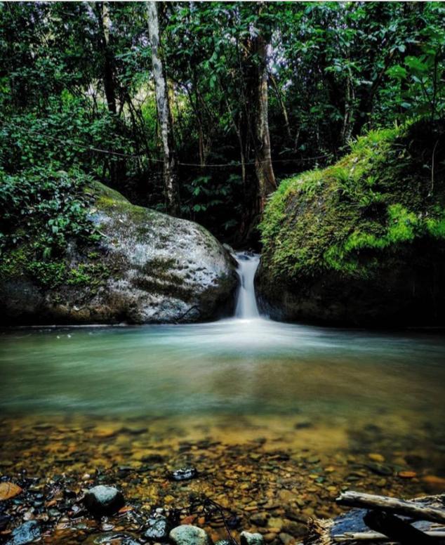Montana Verde Rivas Luaran gambar